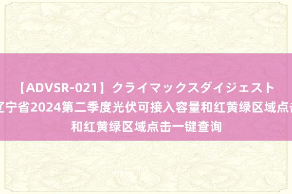 【ADVSR-021】クライマックスダイジェスト 姦鬼 ’10 辽宁省2024第二季度光伏可接入容量和红黄绿区域点击一键查询