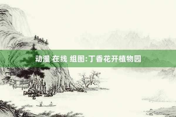 动漫 在线 组图:丁香花开植物园