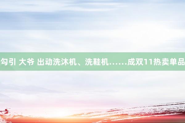 勾引 大爷 出动洗沐机、洗鞋机……成双11热卖单品