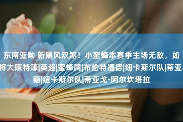 东南亚呦 新黑风双煞！小蜜蜂本赛季主场无敌，如今盛产锋霸又将大赚特赚|英超|蜜蜂属|布伦特福德|纽卡斯尔队|蒂亚戈·阿尔坎塔拉